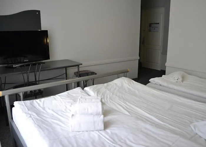 My Ok & Coliving Riga